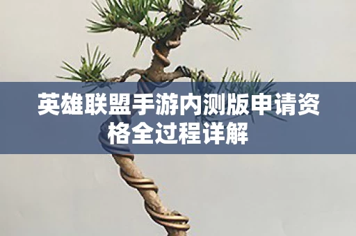 英雄联盟手游内测版申请资格全过程详解图片