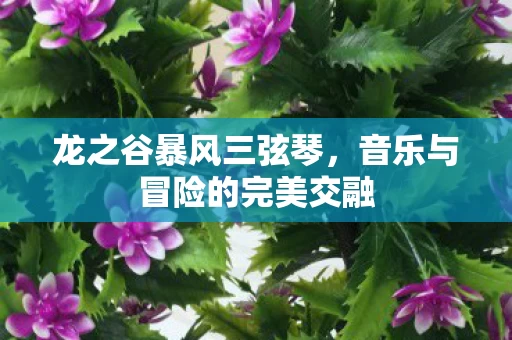 音乐与冒险的完美交融图片