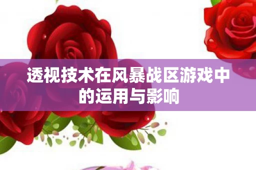 透视技术在风暴战区游戏中的运用与影响图片