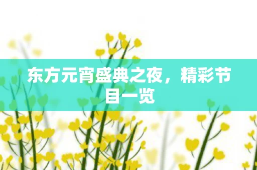 东方元宵盛典之夜图片