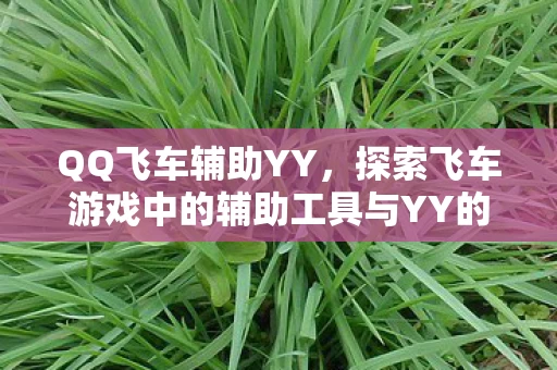 探索飞车游戏中的辅助工具与YY的魅力图片