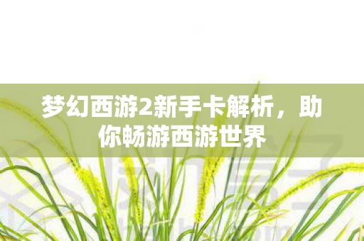 梦幻西游2新手卡解析图片