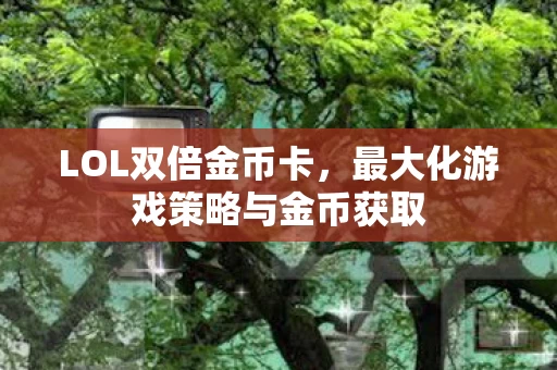 最大化游戏策略与金币获取图片