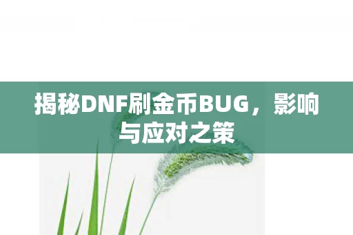 揭秘DNF刷金币BUG图片