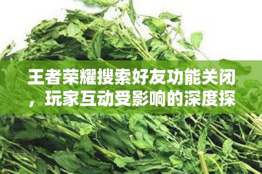 王者荣耀搜索好友功能关闭图片