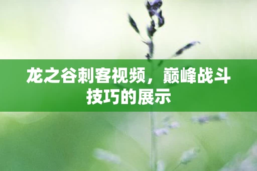 巅峰战斗技巧的展示图片