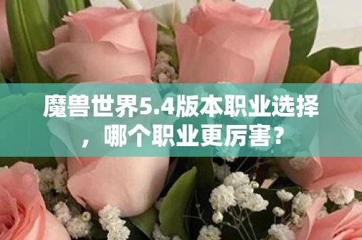 4版本职业选择图片