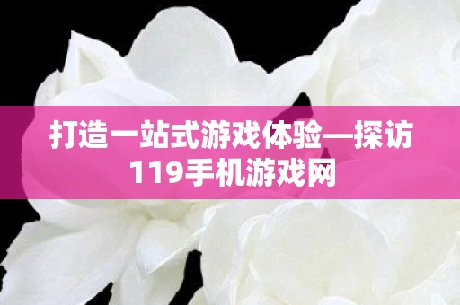 探访119手机游戏网图片