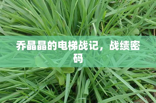 乔晶晶的电梯战记图片