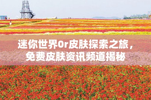 迷你世界0r皮肤探索之旅图片