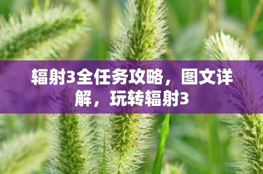 辐射3全任务攻略图片