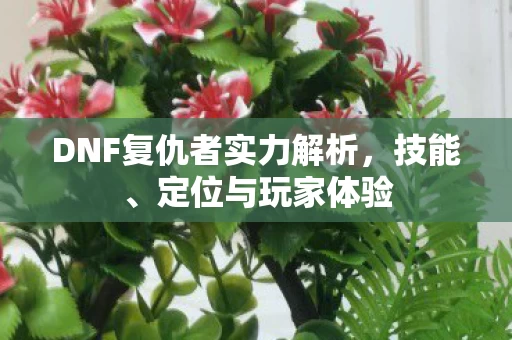 DNF复仇者实力解析图片