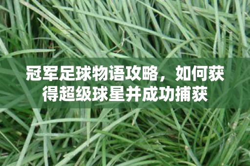 如何获得超级球星并成功捕获图片