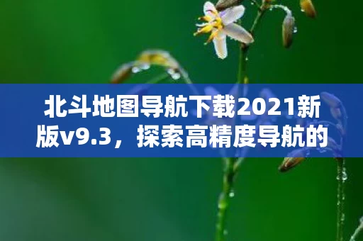 北斗地图导航下载2021新版v9图片
