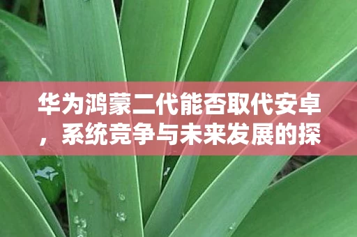 华为鸿蒙二代能否取代安卓图片