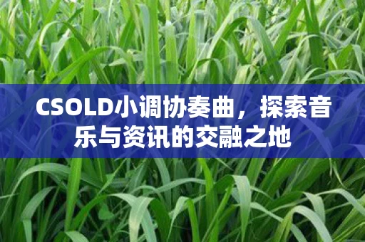探索音乐与资讯的交融之地图片