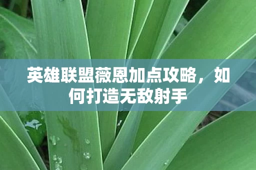 英雄联盟薇恩加点攻略图片