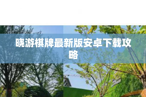 晓游棋牌最新版安卓下载攻略图片