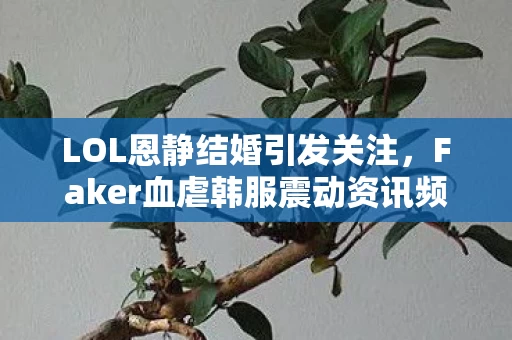 Faker血虐韩服震动资讯频道图片