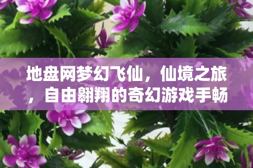 自由翱翔的奇幻游戏手畅体验图片