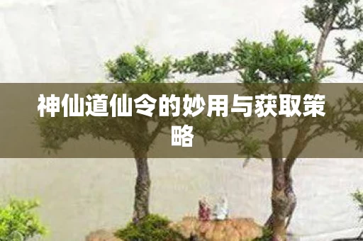 神仙道仙令的妙用与获取策略图片