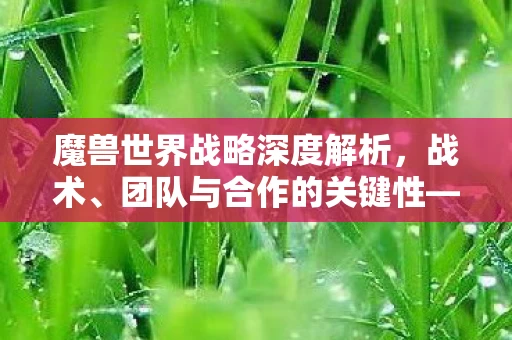 魔兽世界战略深度解析图片