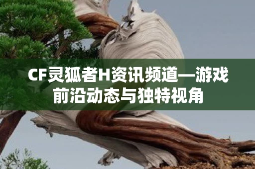 游戏前沿动态与独特视角图片
