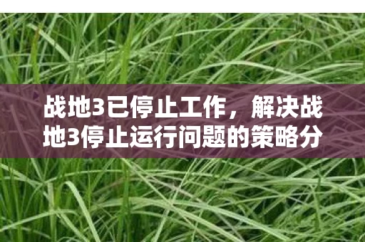 解决战地3停止运行问题的策略分析图片