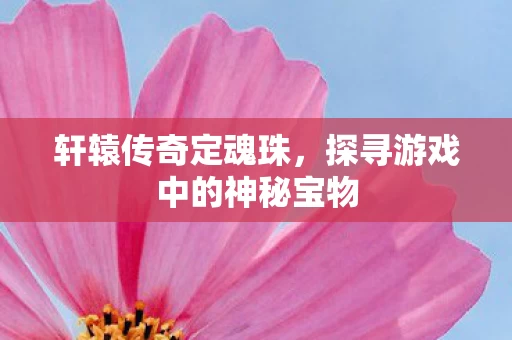 探寻游戏中的神秘宝物图片