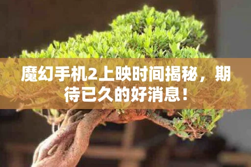 魔幻手机2上映时间揭秘图片
