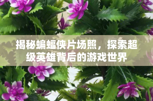 探索超级英雄背后的游戏世界图片