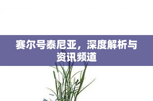 深度解析与资讯频道图片