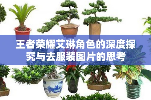 王者荣耀艾琳角色的深度探究与去服装图片的思考图片