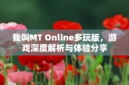 我叫MT Online多玩版图片
