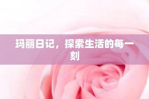 探索生活的每一刻图片