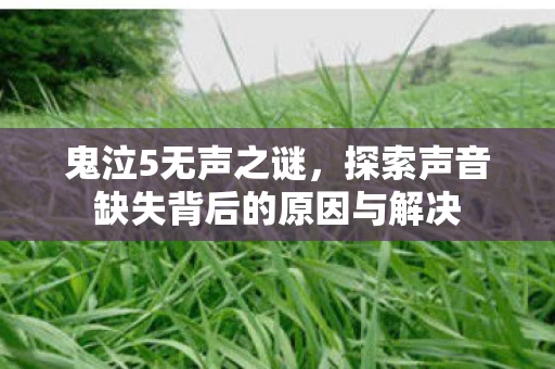 探索声音缺失背后的原因与解决图片