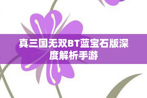 真三国无双BT蓝宝石版深度解析手游图片