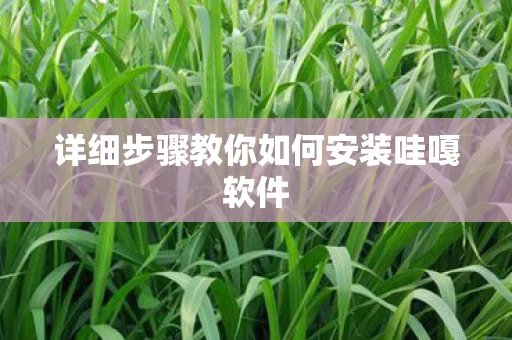 详细步骤教你如何安装哇嘎软件图片