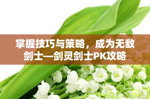 剑灵剑士PK攻略图片