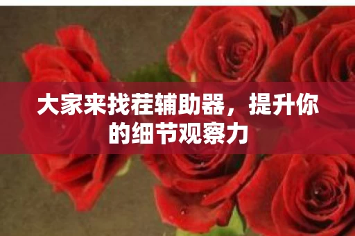 提升你的细节观察力图片