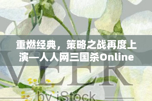 人人网三国杀Online图片