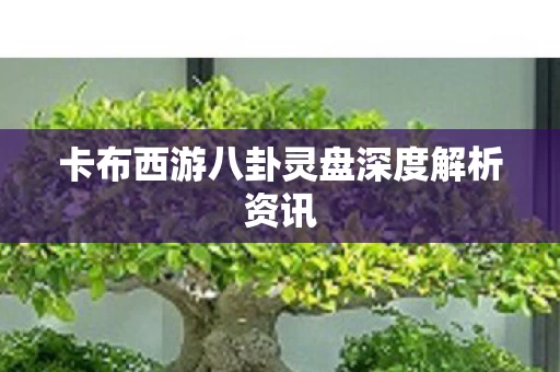 卡布西游八卦灵盘深度解析资讯图片