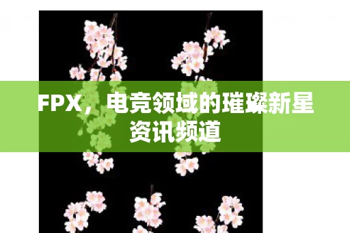 电竞领域的璀璨新星资讯频道图片