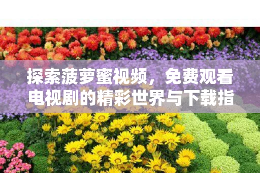 免费观看电视剧的精彩世界与下载指南图片