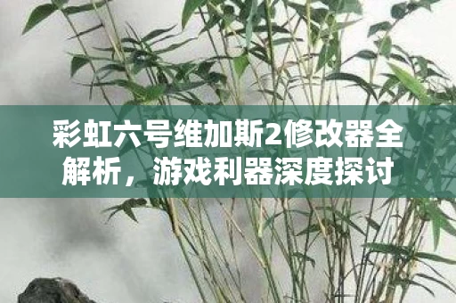 彩虹六号维加斯2修改器全解析图片