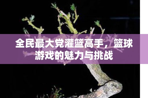 篮球游戏的魅力与挑战图片