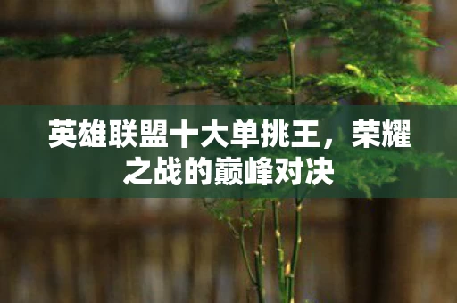 英雄联盟十大单挑王图片
