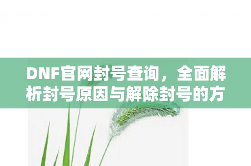 全面解析封号原因与解除封号的方法图片