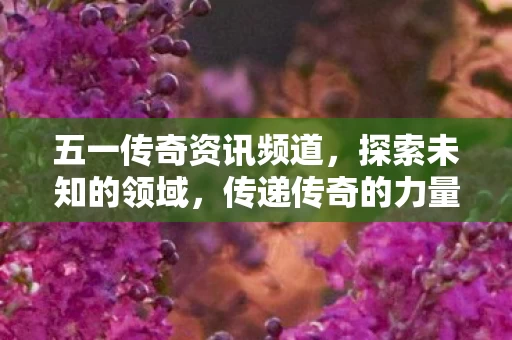 五一传奇资讯频道图片