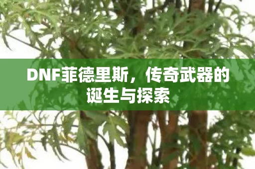 传奇武器的诞生与探索图片